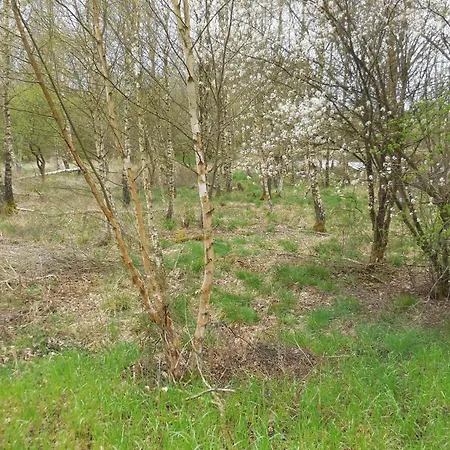 別荘 Maison Cosy Au Coeur Des Ardennes