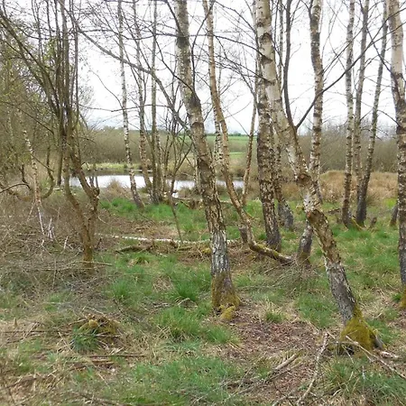 Maison Cosy Au Coeur Des Ardennes 別荘